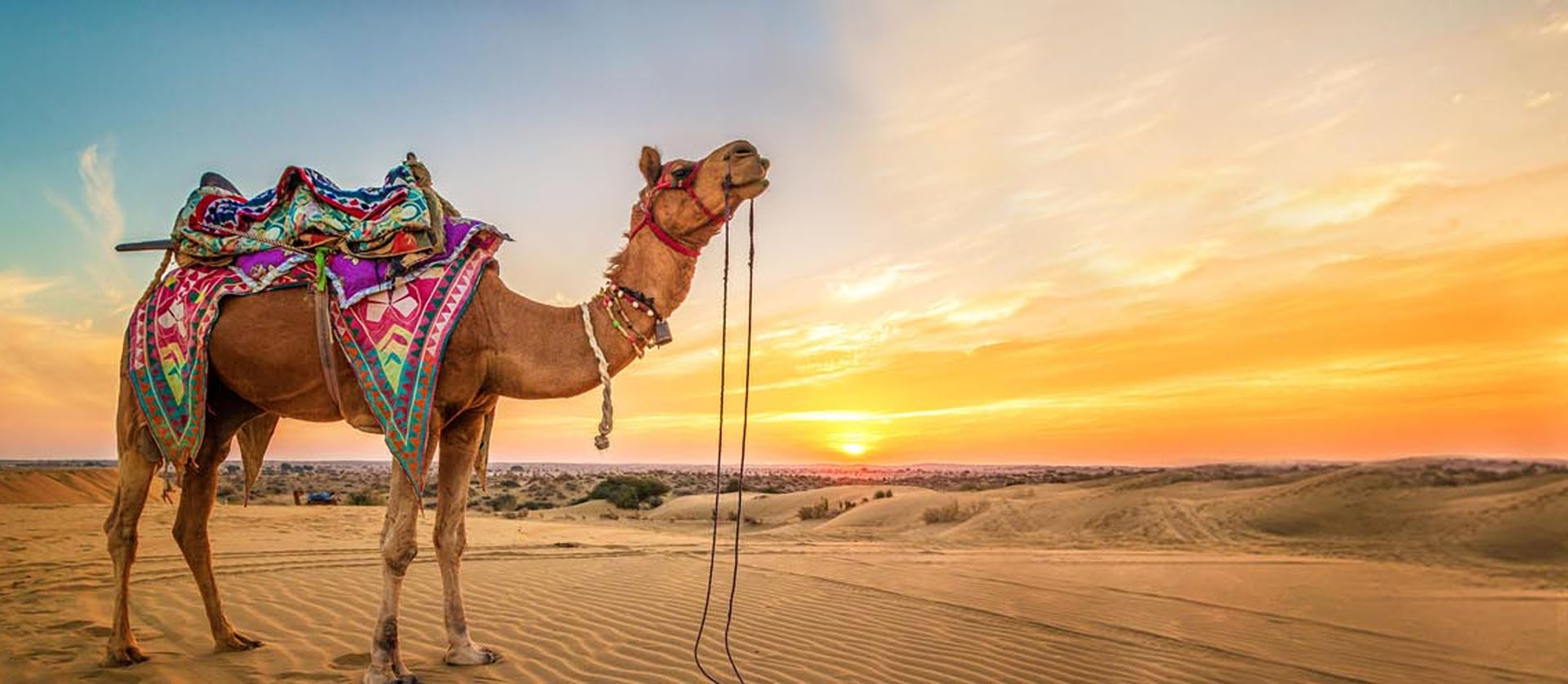 rajasthan